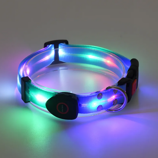 GlowWalk Rechargeable LED Dog Collar — Visible 400m, USB